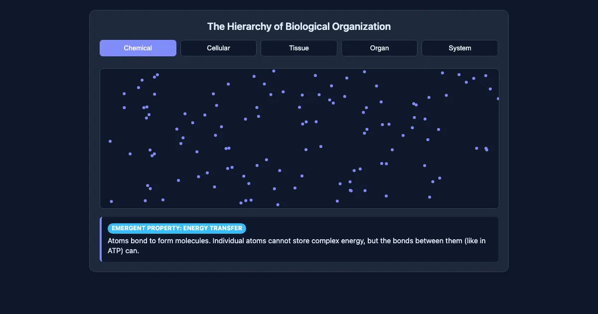 Preview of the Biological Hierarchy & Emergence interactive demo