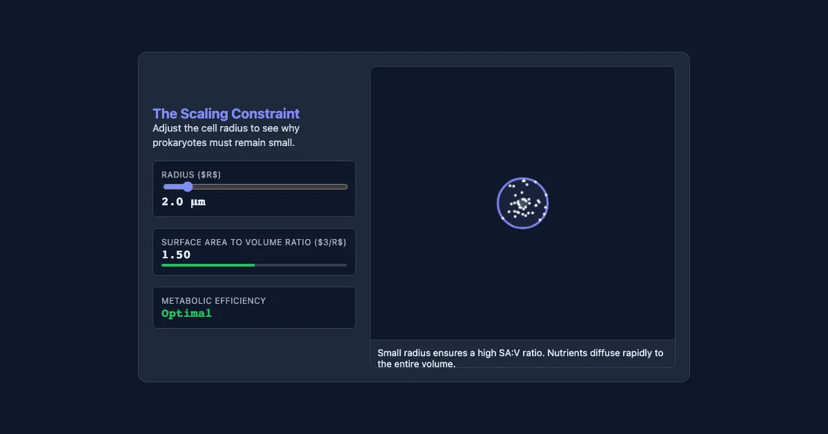 Preview of the Cell Scaling & Diffusion Demo interactive demo