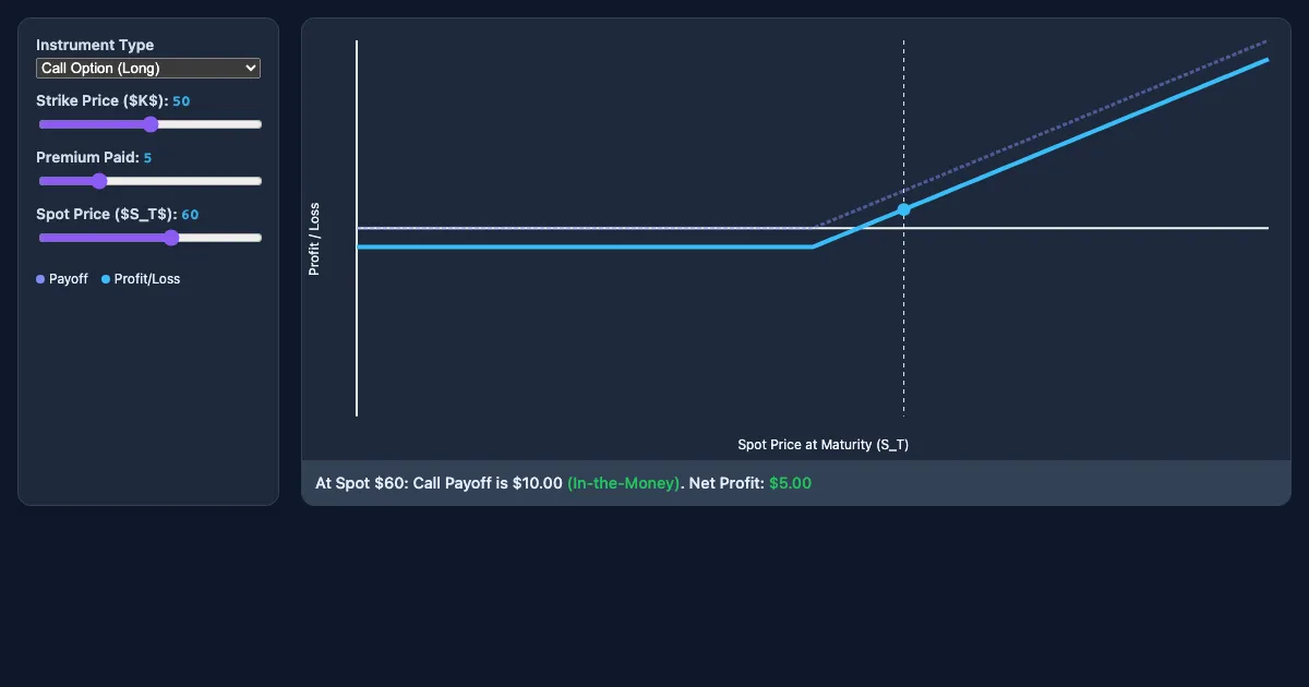 Preview of the Derivative Payoff Visualizer interactive demo