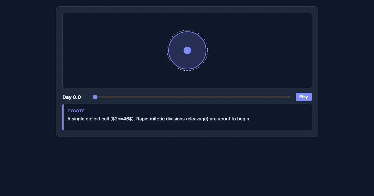 Preview of the Embryogenesis: From Zygote to Implantation interactive demo