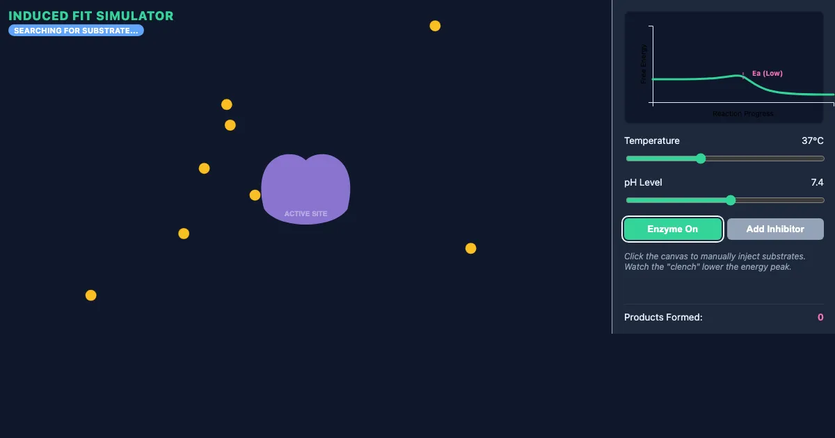 Preview of the Enzyme Dynamics: Induced Fit Lab interactive demo