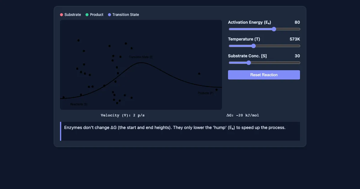 Preview of the Enzyme Kinetics & Thermodynamics Demo interactive demo