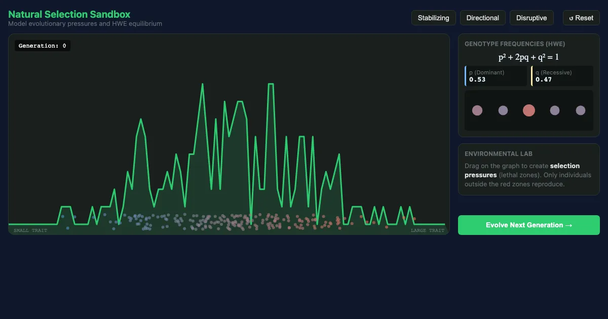 Preview of the Evolutionary Systems Lab interactive demo