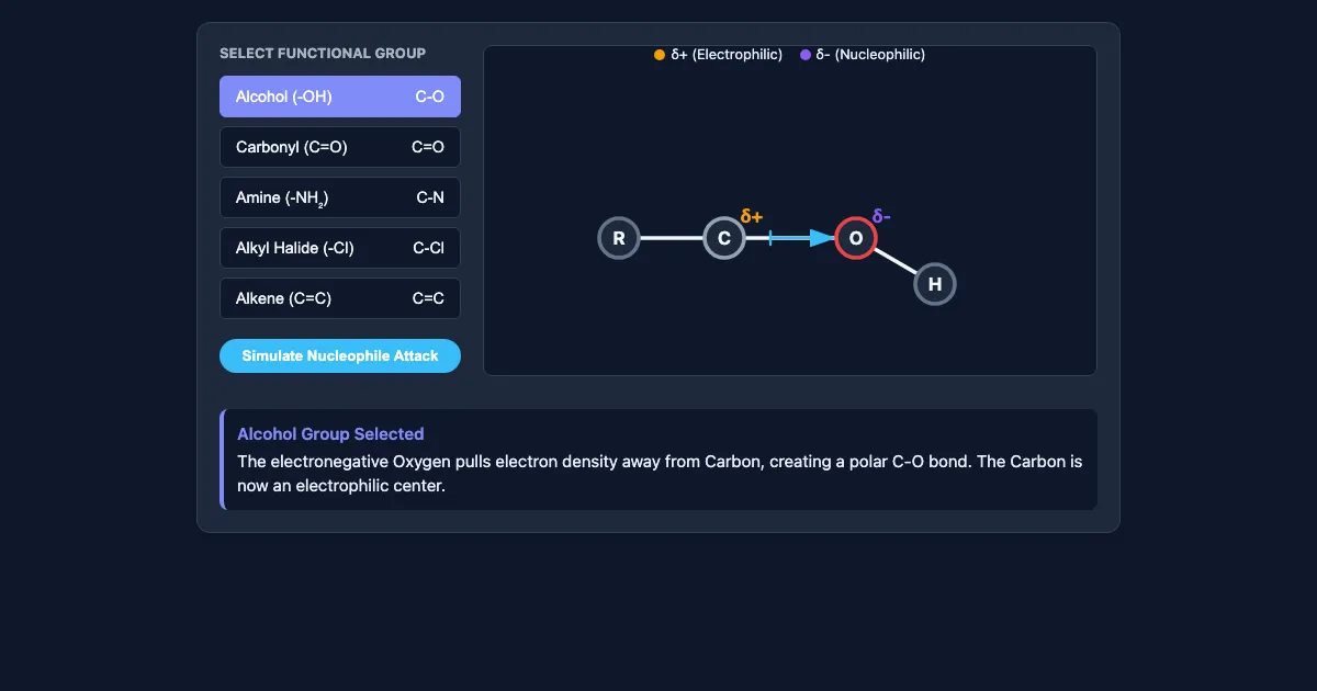 Preview of the Functional Group Interactive Demo interactive demo