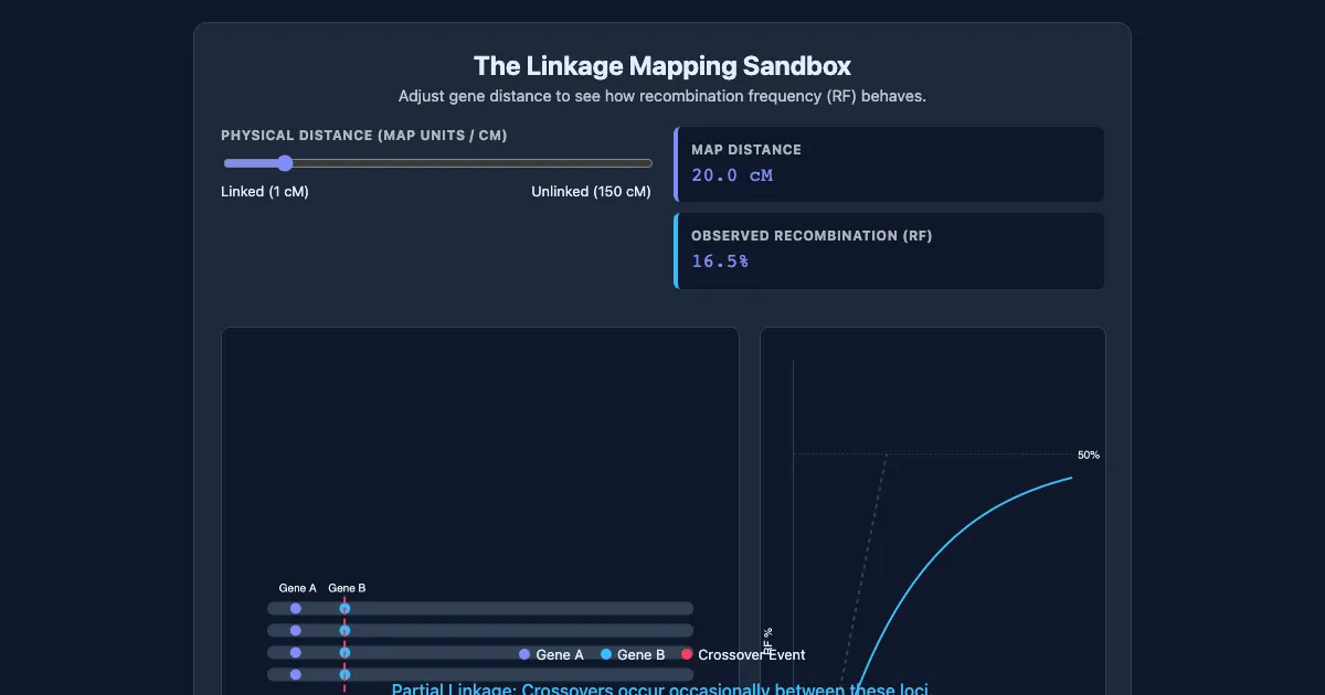 Preview of the Genetic Linkage & Recombination Demo interactive demo