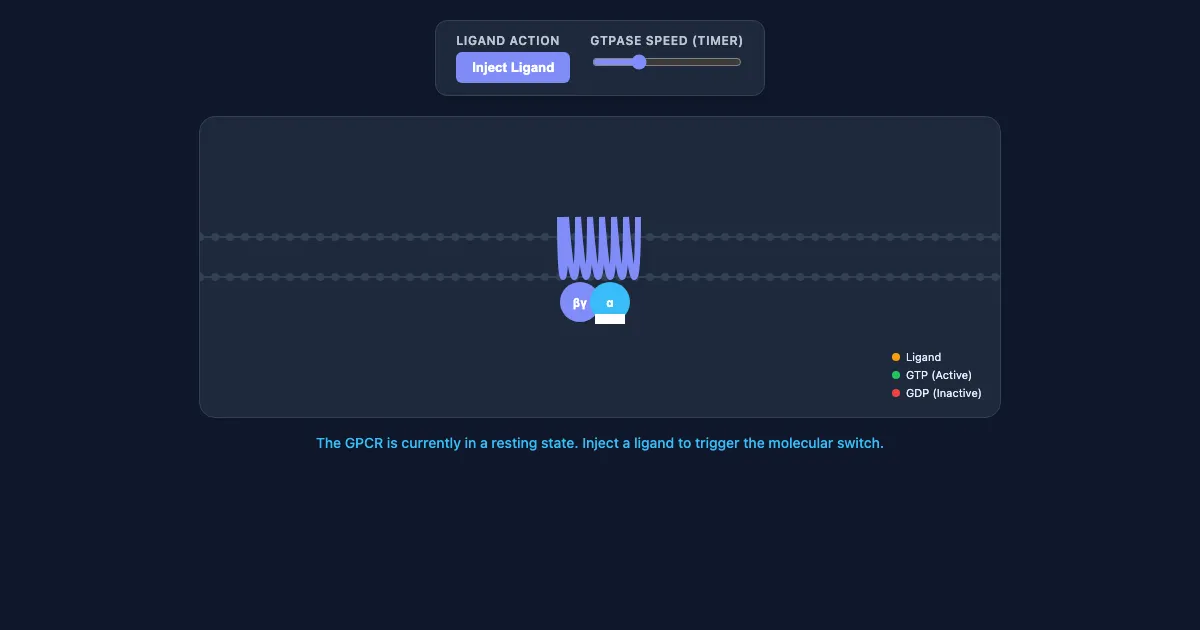 Preview of the GPCR Molecular Switch Demo interactive demo