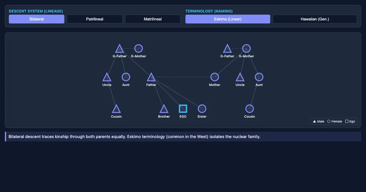 Preview of the Kinship Logic Explorer interactive demo