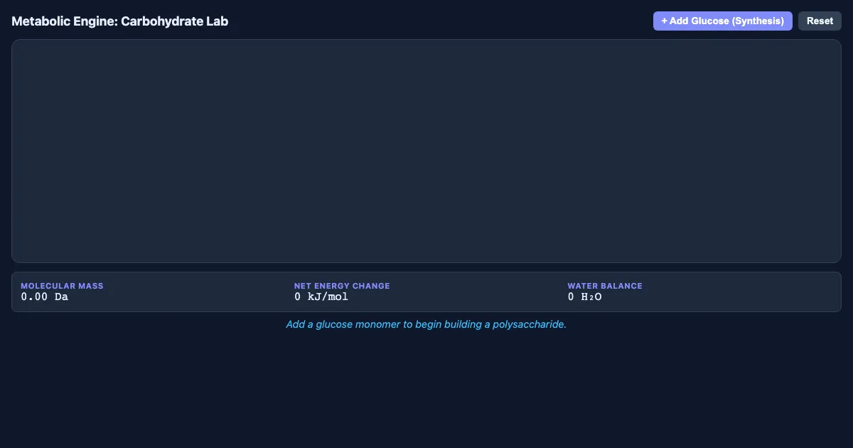 Preview of the Macromolecule Synthesis Lab interactive demo