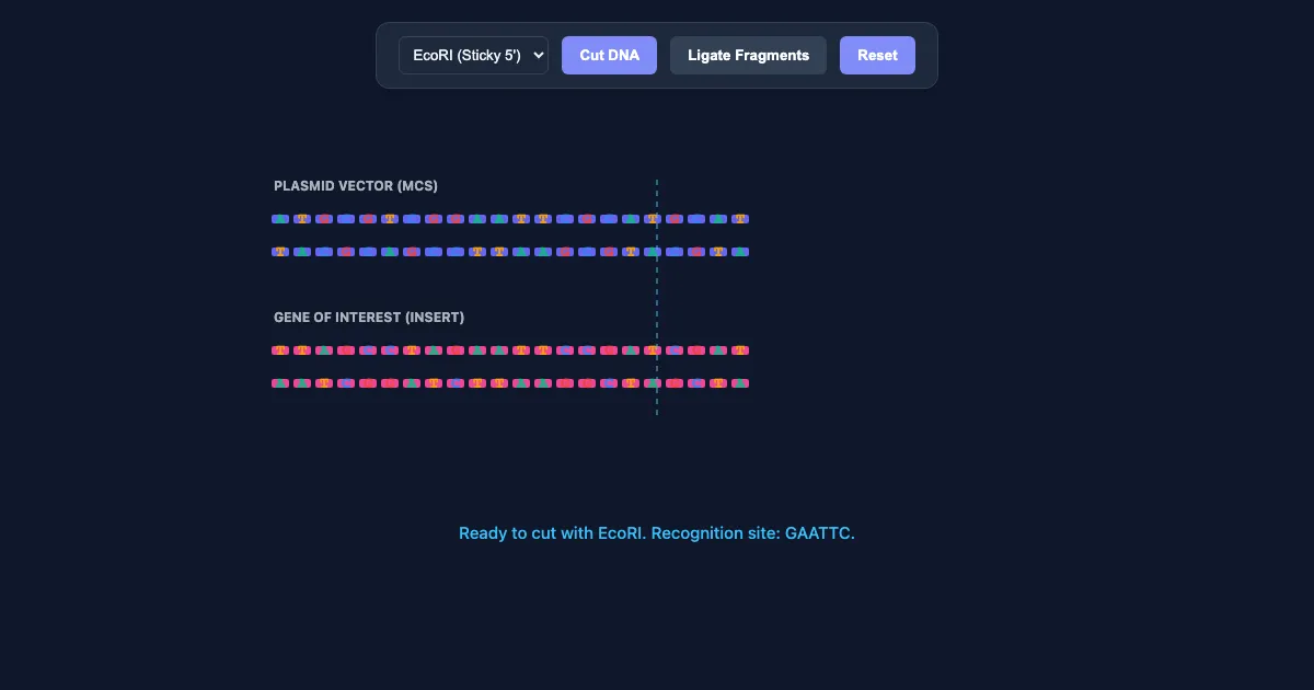 Preview of the Molecular Ligation Lab interactive demo