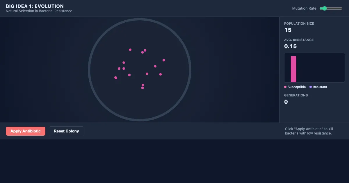 Preview of the Natural Selection Simulator interactive demo