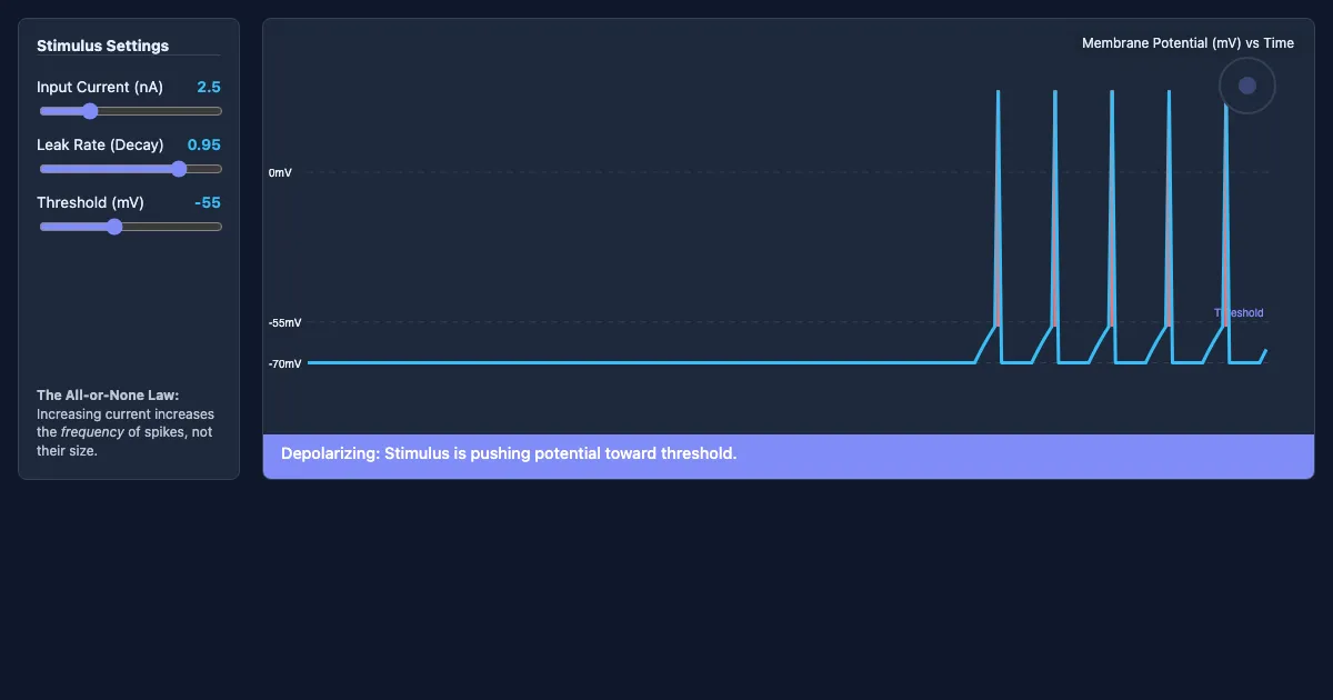 Preview of the Neural Firing Simulator interactive demo