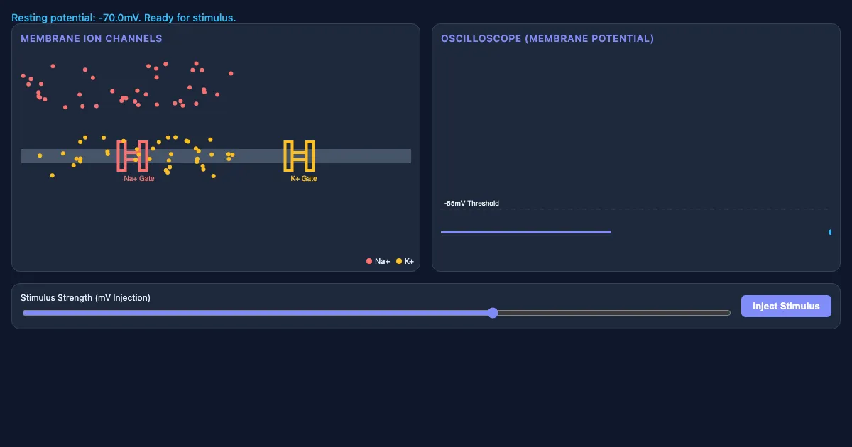 Preview of the Neuron Action Potential Simulator interactive demo