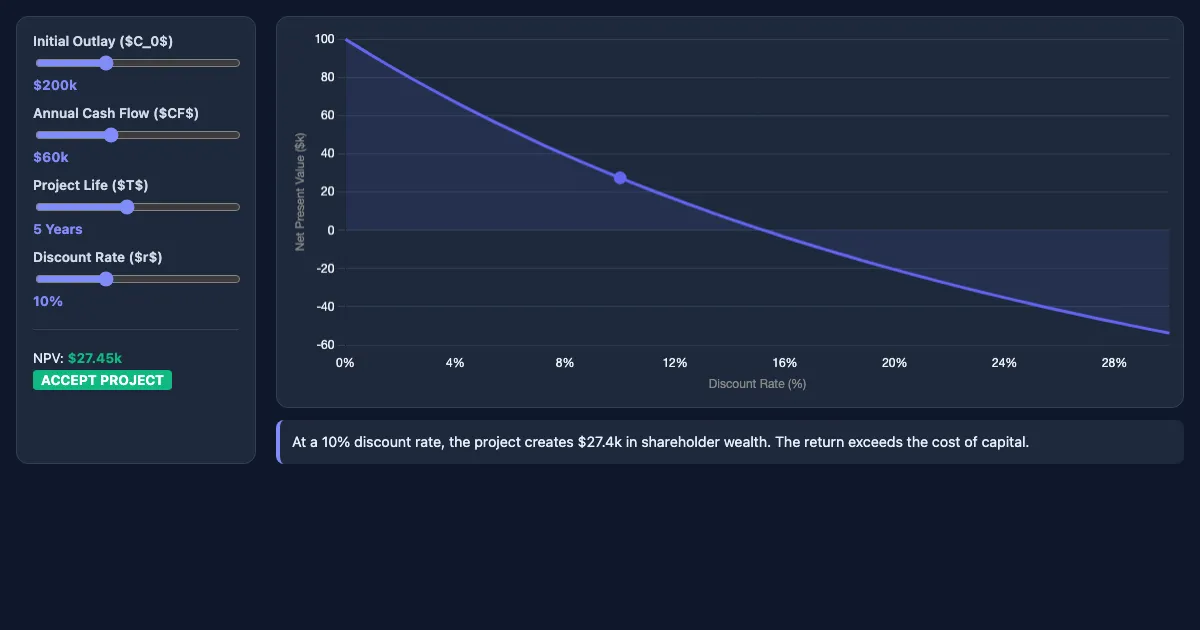 Preview of the NPV Interactive Visualizer interactive demo