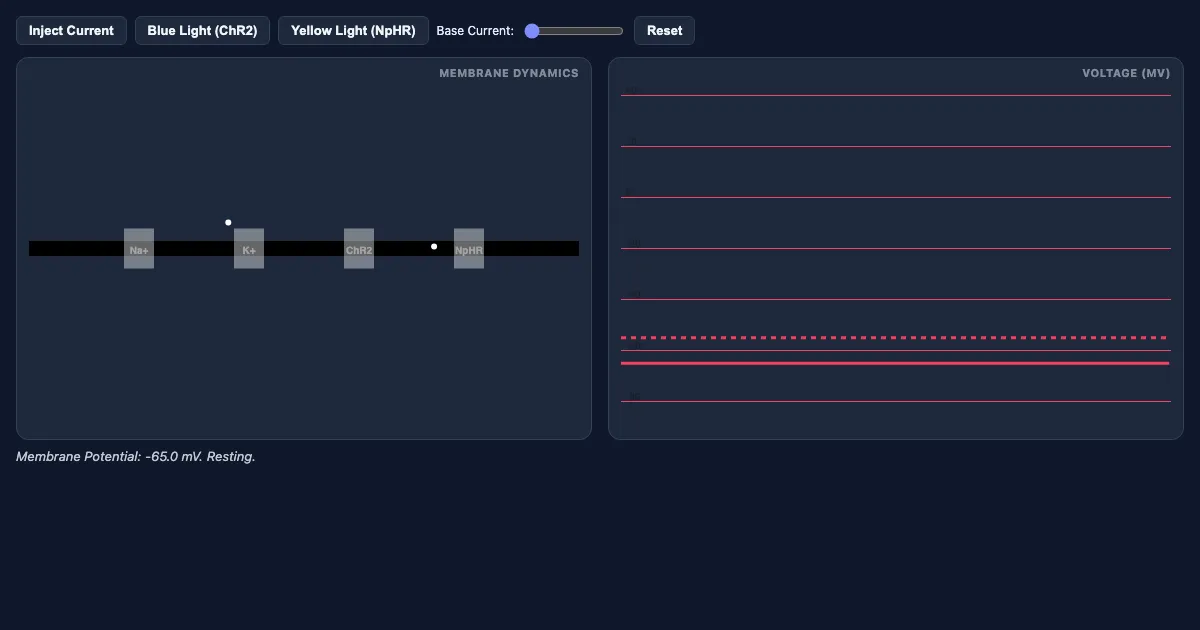 Preview of the Optogenetics & Action Potential Simulator interactive demo