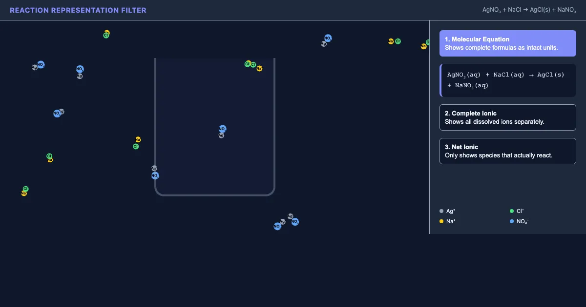 Preview of the Reaction Lens: Ionic Perspectives interactive demo