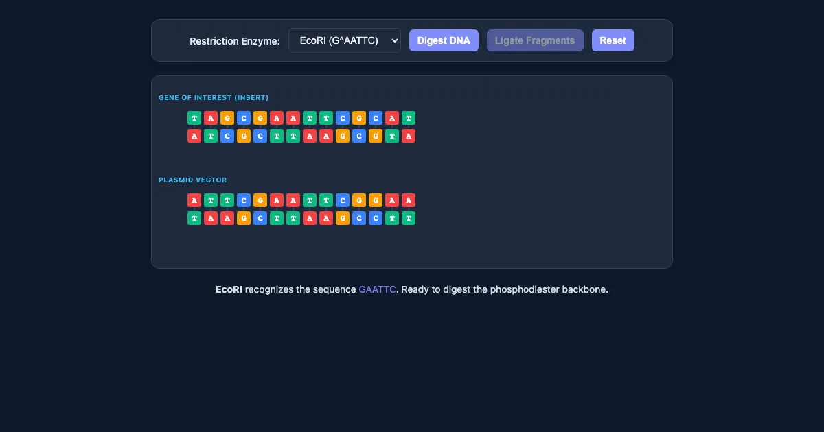 Preview of the Recombinant DNA Lab interactive demo