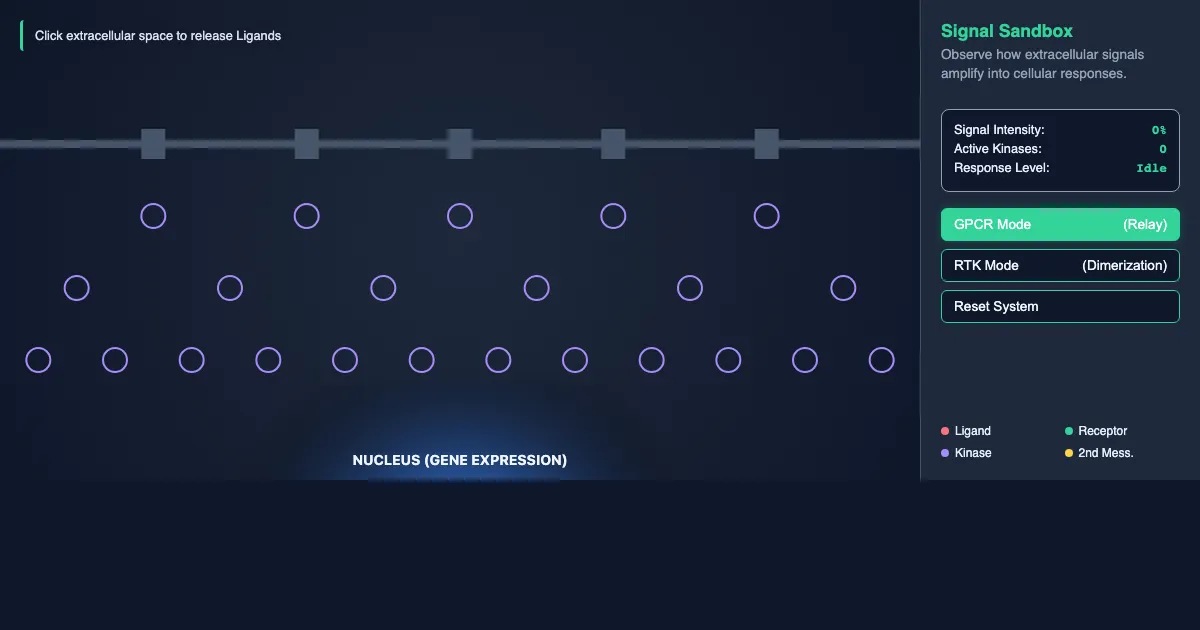 Preview of the Signal Transduction Interactive Demo interactive demo