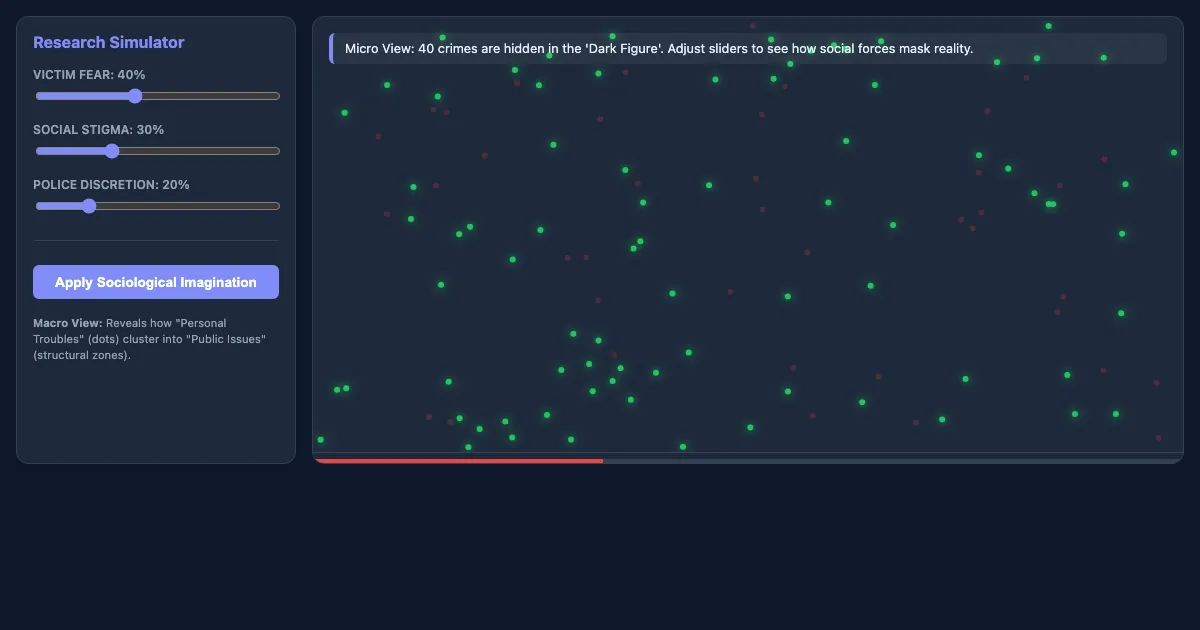 Preview of the The Dark Figure & Sociological Imagination interactive demo